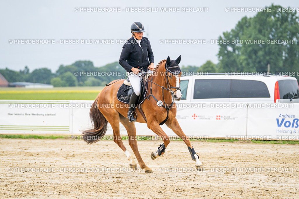 DSC02621 | Pferdegrafie