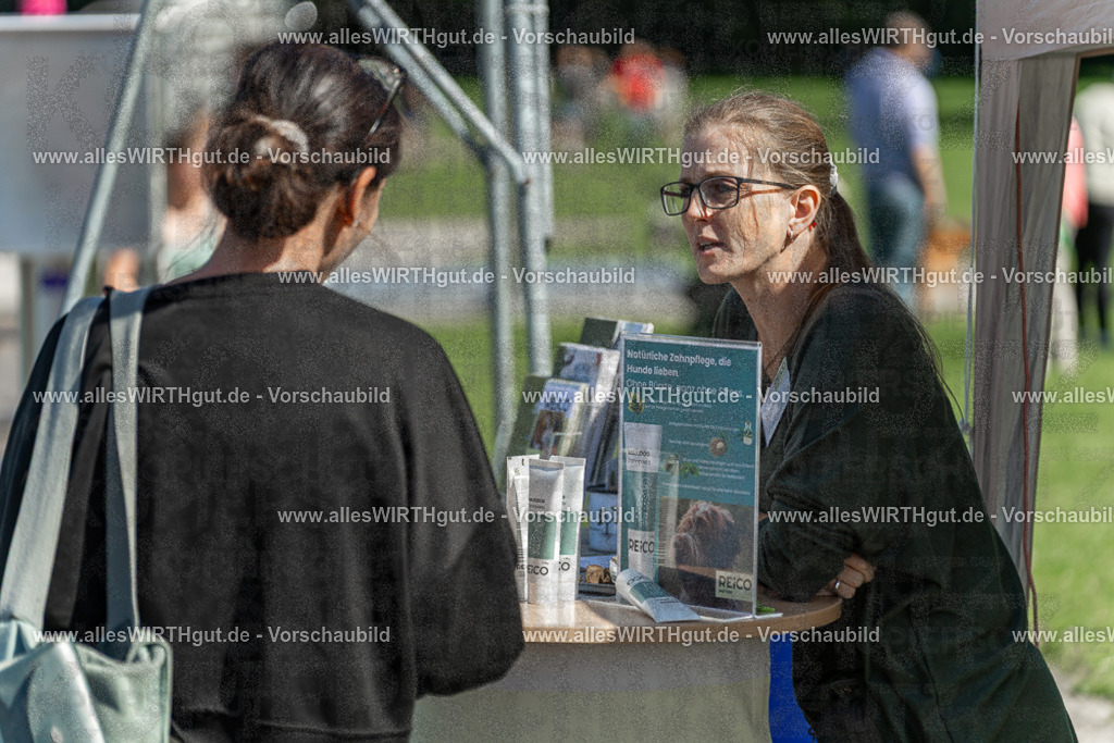 Hundeschwimmen_Volksbad_2026-allesWIRTHgut_Tierfotografie-2609061202-111230-7R500117 | Professionelle Tierfotografie in Mönchengladbach von Daniel Wirth (allesWIRTHgut). Liebevolle & natürliche Bilder von Hunden & Katzen für unvergessliche Erinnerungen.