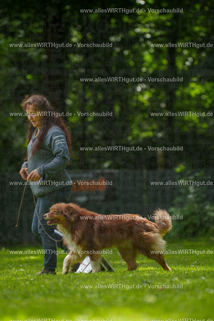 @allesWIRTHgut_Tierfotografie - www.allesWIRTHgut.de - 7R500797 | Professionelle Tierfotografie in Mönchengladbach von Daniel Wirth (allesWIRTHgut). Liebevolle & natürliche Bilder von Hunden & Katzen für unvergessliche Erinnerungen.