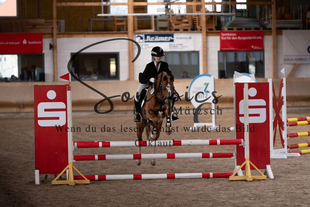 A7507394 | Pferdefotograf