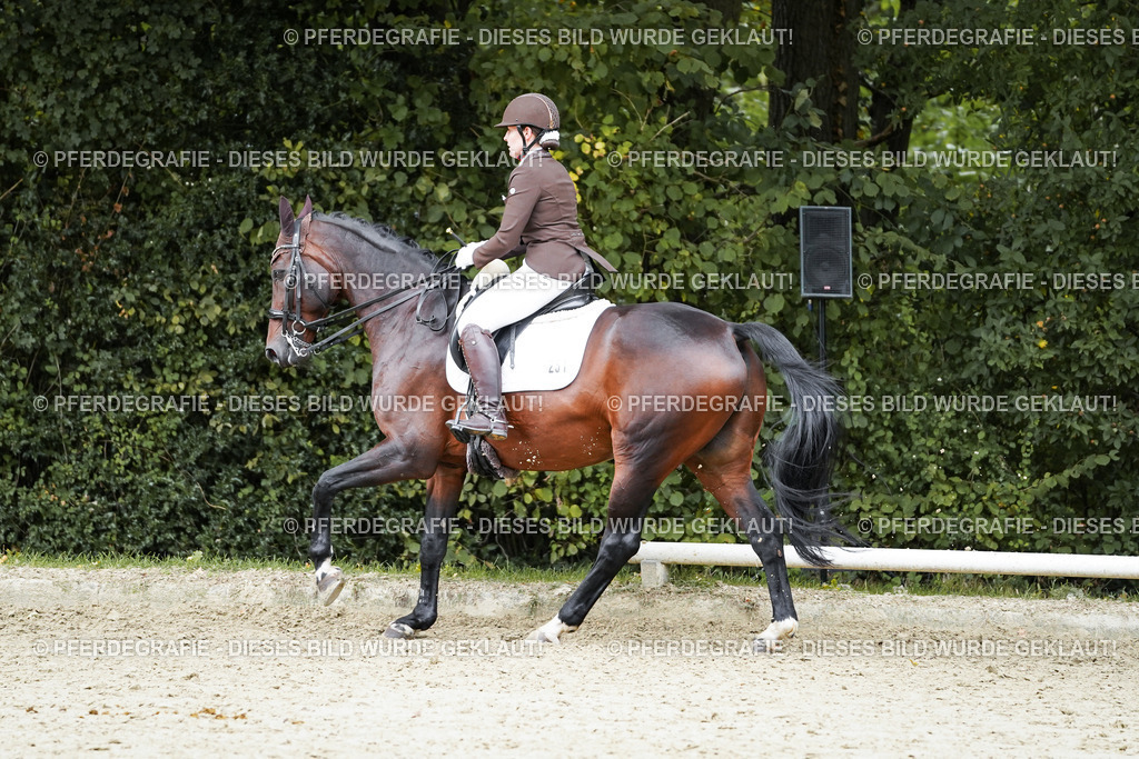 DSC01044 | Pferdegrafie