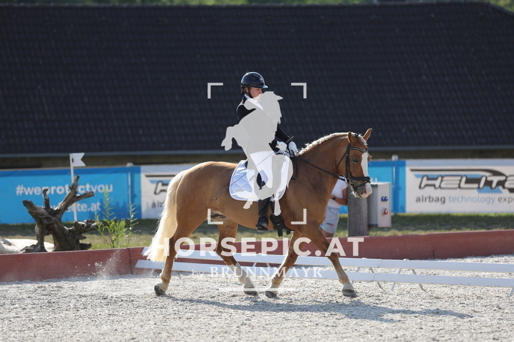 0P6A8858 | Willkommen bei Brunnmayr - Design & Fotografie – Ihrem Spezialisten für Reitturniere und Pferdeveranstaltungen in Oberösterreich, Salzburg und Bayern! Seit über 17 Jahren sind wir leidenschaftlich dabei.