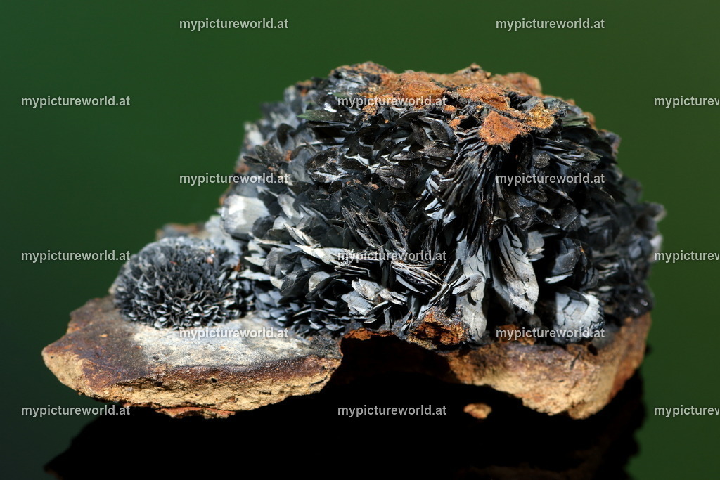 Vivianit-001 | Das Bilderarchiv über Tiere, Planzen und Landschaften. In der Bilddatenbank finden Sie ein große Auswahl an hochwertigen Bilder für Ihre Werbung - Realisiert mit Pictrs.com