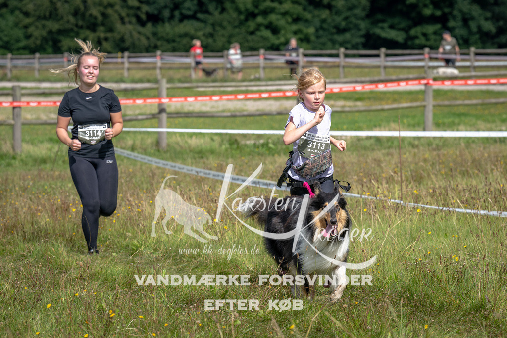 1333_ZZ90138 | kk-dogfotos