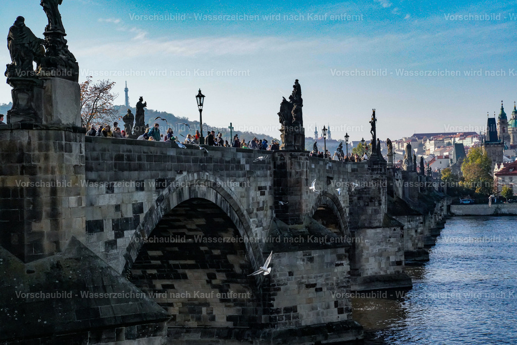 DSC00068 | marcuslinek