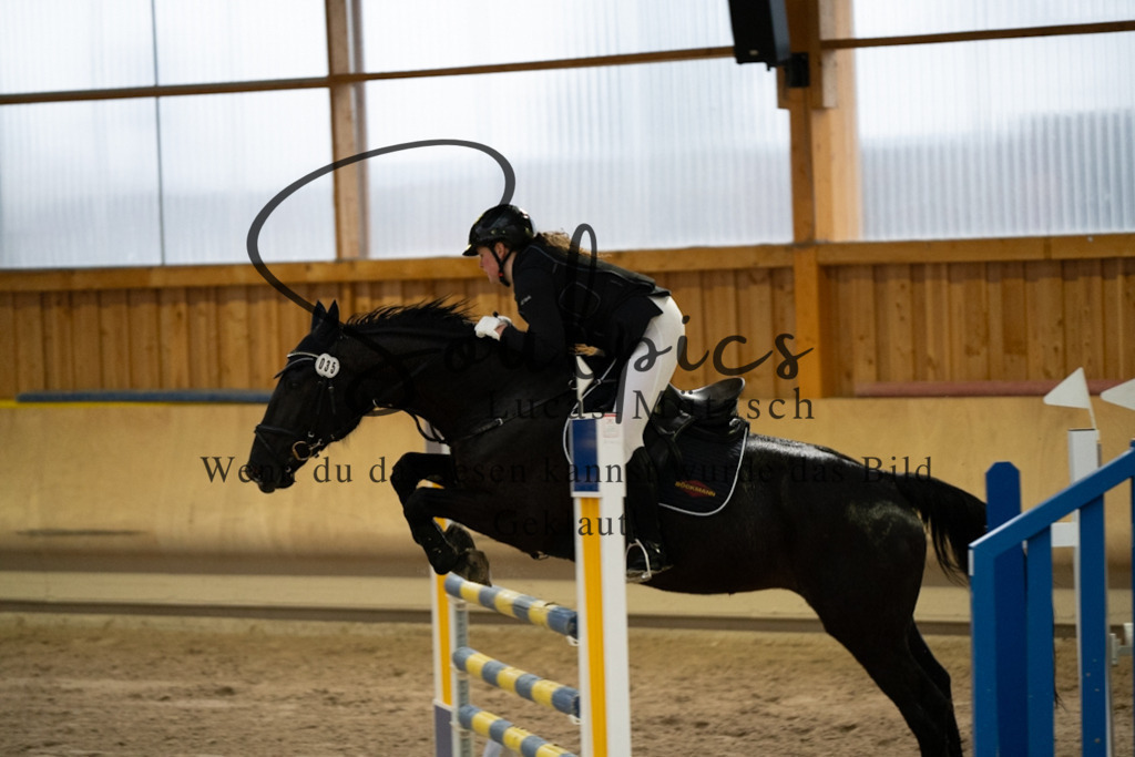 A7V00836 | Pferdefotograf