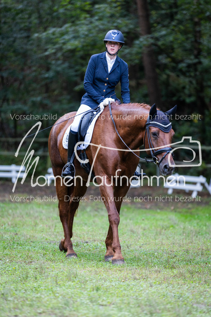 HB-A-Dressur-060 | MomenTaufnahmen Pferdesportfotos