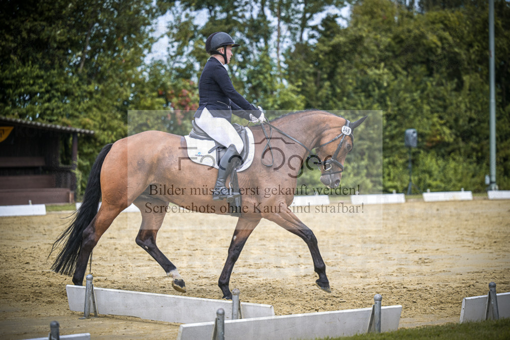 DOS_3818 | Entdecke hochwertige Reitturnierfotos von Foto Oger. Professionell, emotional und authentisch – jetzt Lieblingsmomente im Shop bestellen.Deutschlandweite Turnierfotografie. - Realisiert mit Pictrs.com