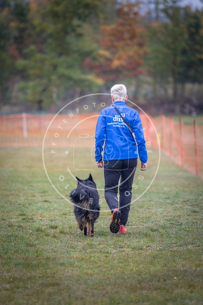 Pfotenfotografie_DV3A9299 | Hundefotografie, Tierfotograf, Pfotenfotografie, Fotoshooting Hund, Hunde Portrait, Hundesport, Hundeportraits, Heideshooting, Hunde, Sportfotograf, Hundefotograf, Turnierhundsport, THS,  - Realisiert mit Pictrs.com