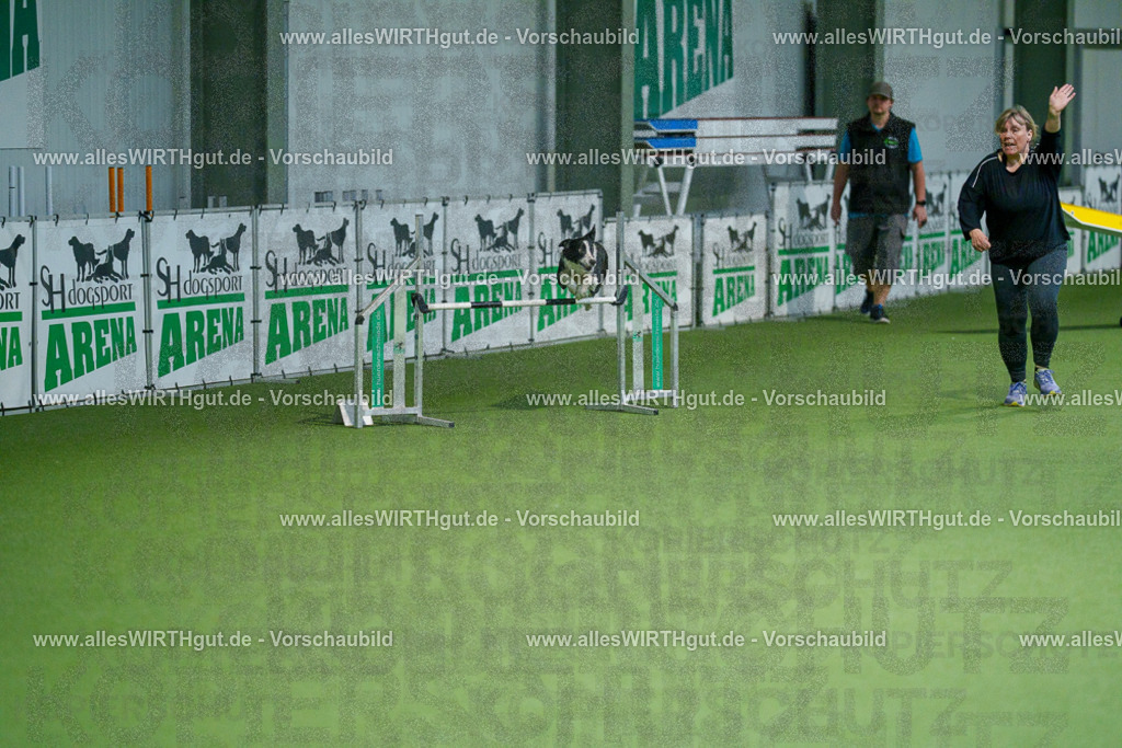 @allesWIRTHgut_Tierfotografie - www.allesWIRTHgut.de - 2604250828-7R506777 | Professionelle Tierfotografie in Mönchengladbach von Daniel Wirth (allesWIRTHgut). Liebevolle & natürliche Bilder von Hunden & Katzen für unvergessliche Erinnerungen.