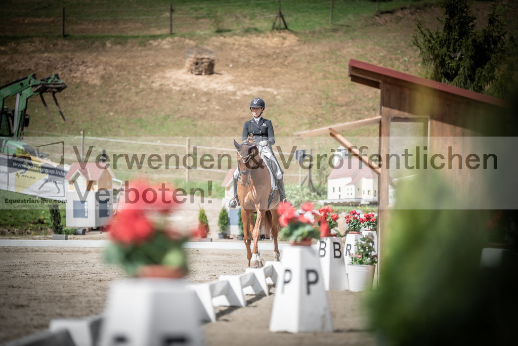 DSC_2997 | equestrian-live-com