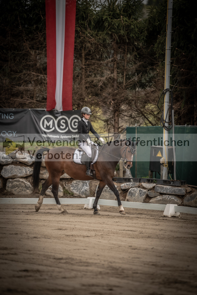 DSC_8170 | equestrian-live-com
