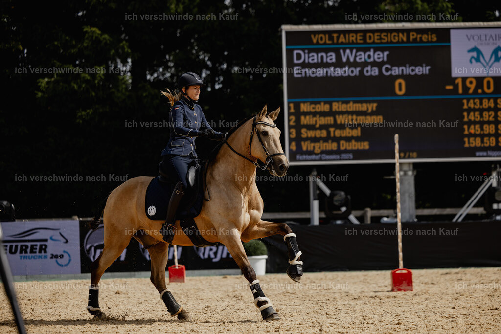 Diana11_FHC2025-20553 | working equitationturnier fotograf videograf stoibphotography marixx film working equitation deutschland reitsport turnierfotografie eventfotografie equestrian events