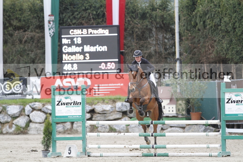 _MG_3075 | equestrian-live-com