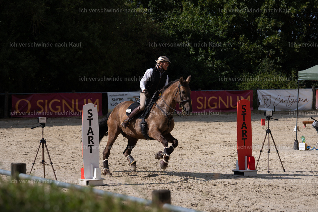 WS_SP_60_SinaFilmArt_IN08617 | working equitationturnier fotograf videograf stoibphotography marixx film working equitation deutschland reitsport turnierfotografie eventfotografie equestrian events