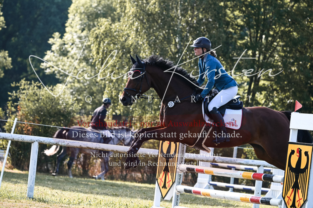 DSC_7563 | Pferde- und Turnierfotografie in Westsachsen. Pferdeportraits, Auftragszeichnungen und intuitive Kunst.