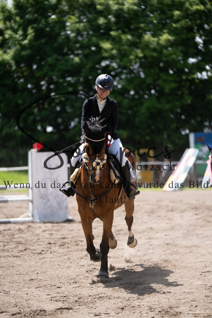 A7V04529 | Pferdefotograf