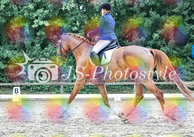 20250727_Dressurpferdeprfg_Kl.A-109 | JS-Photostyle - Sport-/Portrait- & Eventfotografie