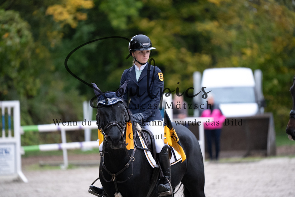 A7V08905 | Pferdefotograf