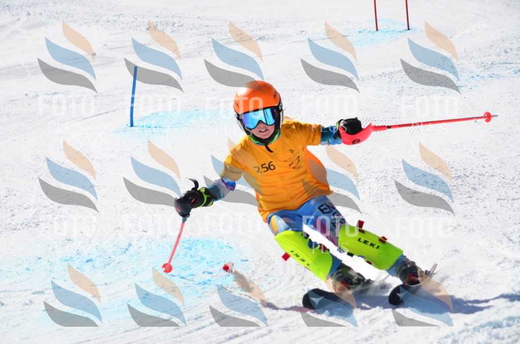 C8481 | holidayphoto