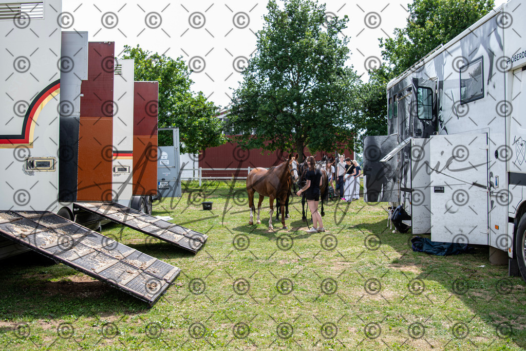 POL_3745 | andre_photographic