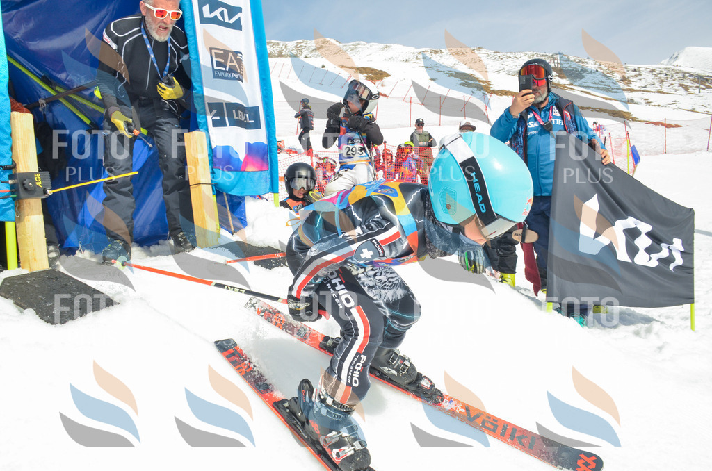 _ELE7148 | holidayphoto