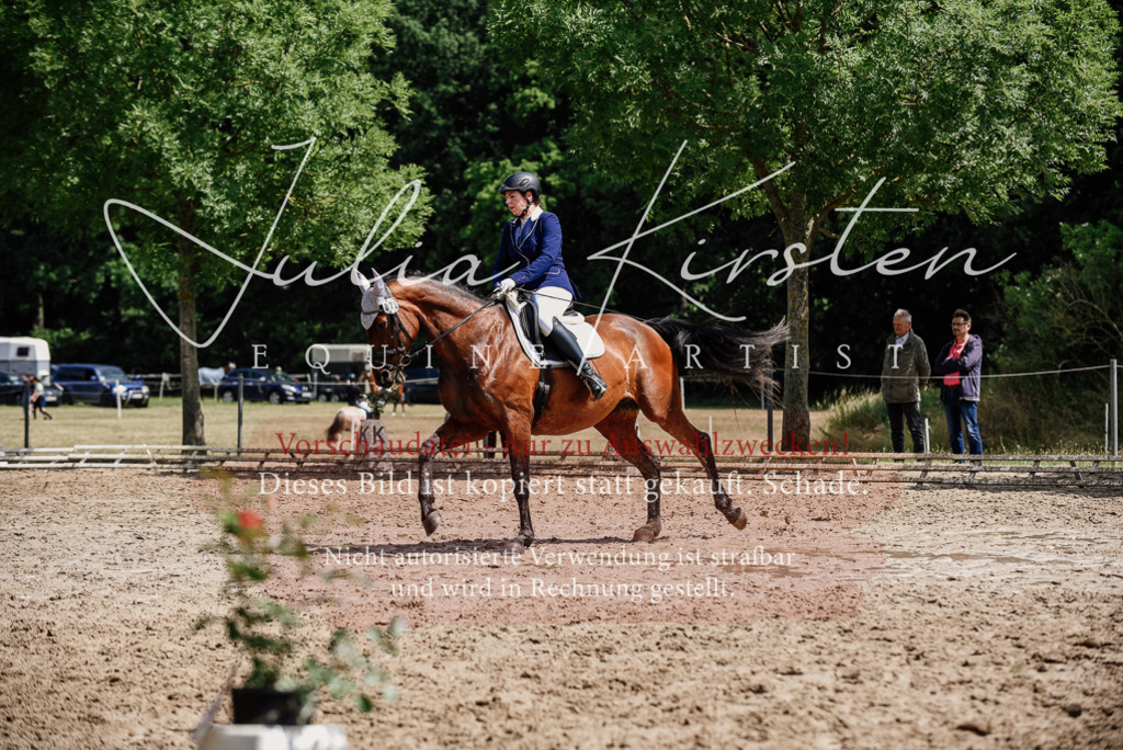 DSC_1245 | Pferde- und Turnierfotografie in Westsachsen. Pferdeportraits, Auftragszeichnungen und intuitive Kunst.