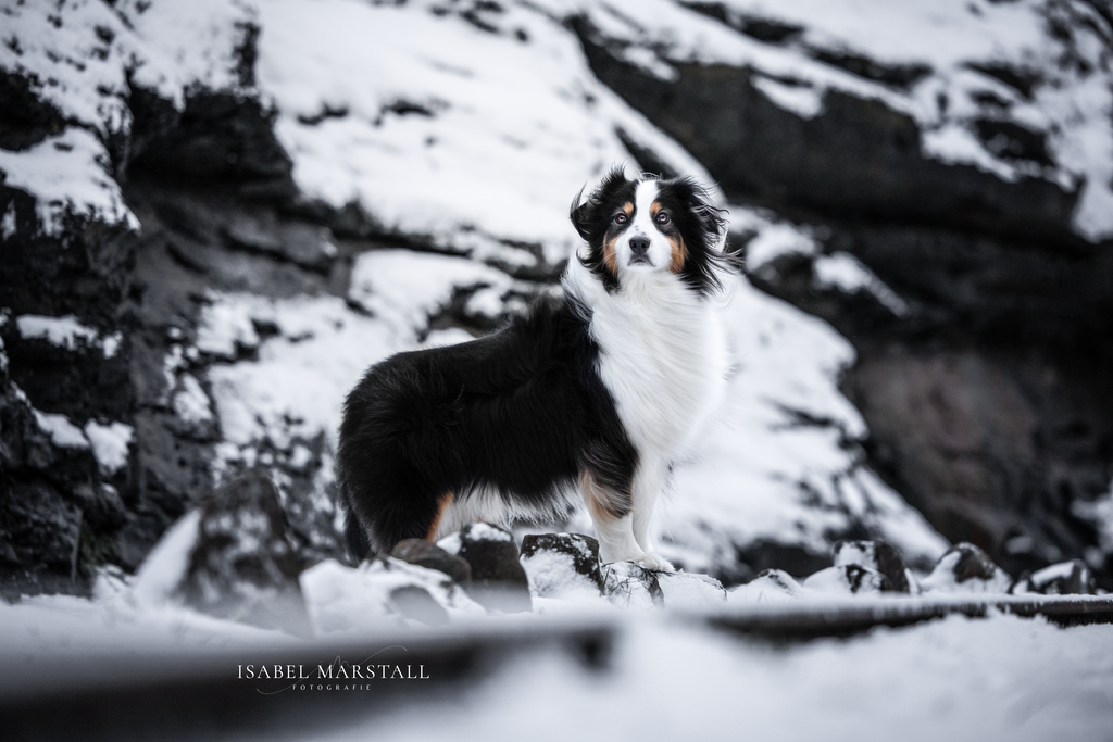 IM_15-Bearbeitet | Isabel Marstall Fotografie - Realisiert mit Pictrs.com