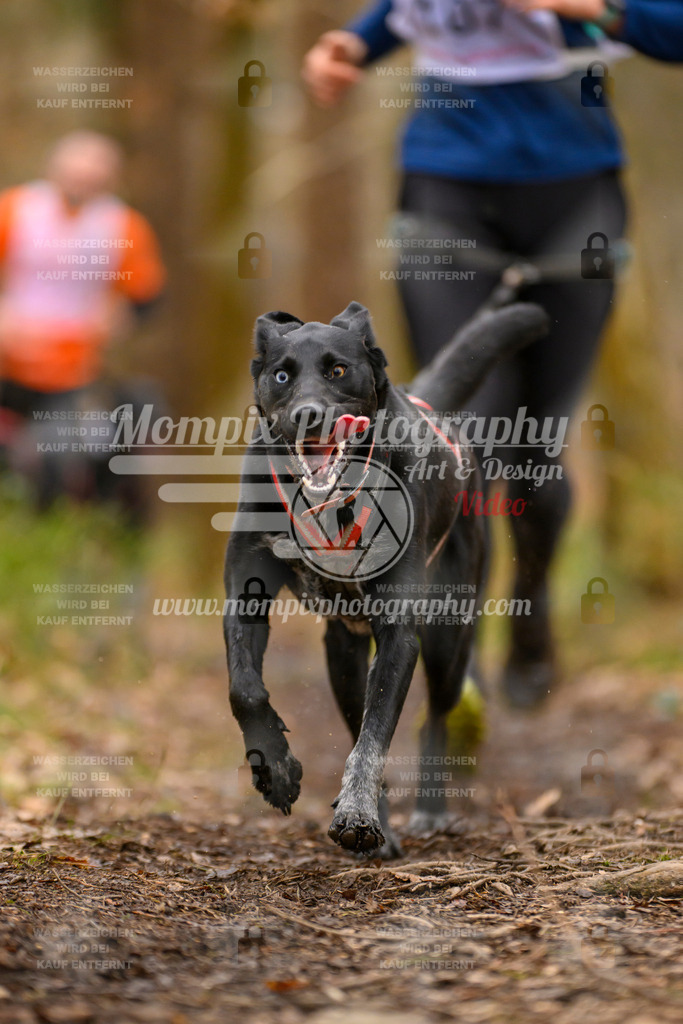 MompixPhotography_CDSM24_SA_Fun-13 | PayLife