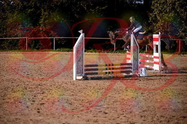 2026_10_03_Siefer-Hof_155959_Z81_80362102 | Professionelle Reitsport-, Turnier- und Eventfotografie von Robert Broda. Galerien mit ausgewählten und bearbeiteten Bildern direkt online ansehen und bestellen.
