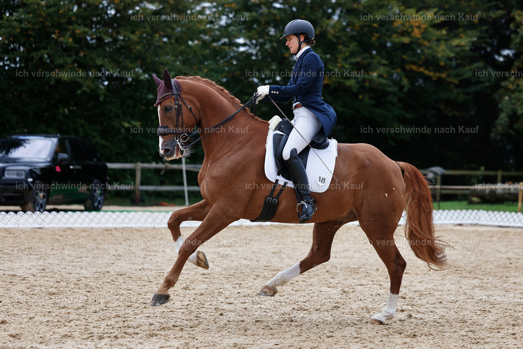 12-089-DRESSUR  S___  -StoibPH-5362 | working equitationturnier fotograf videograf stoibphotography marixx film working equitation deutschland reitsport turnierfotografie eventfotografie equestrian events
