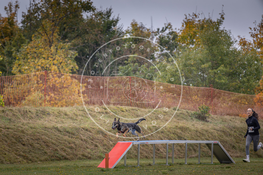 Pfotenfotografie_DV3A1323 | Hundefotografie, Tierfotograf, Pfotenfotografie, Fotoshooting Hund, Hunde Portrait, Hundesport, Hundeportraits, Heideshooting, Hunde, Sportfotograf, Hundefotograf, Turnierhundsport, THS,  - Realisiert mit Pictrs.com