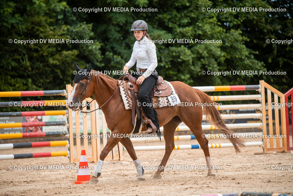 ZS2_8620 | dv-media-shop - Realisiert mit Pictrs.com