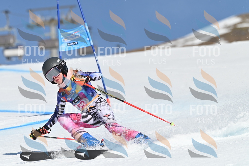 BGV_8581 | holidayphoto