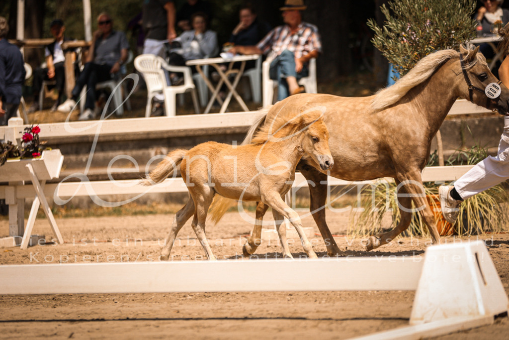 02.DoSR00030 | Leoni Ertmer Photography - Realisiert mit Pictrs.com