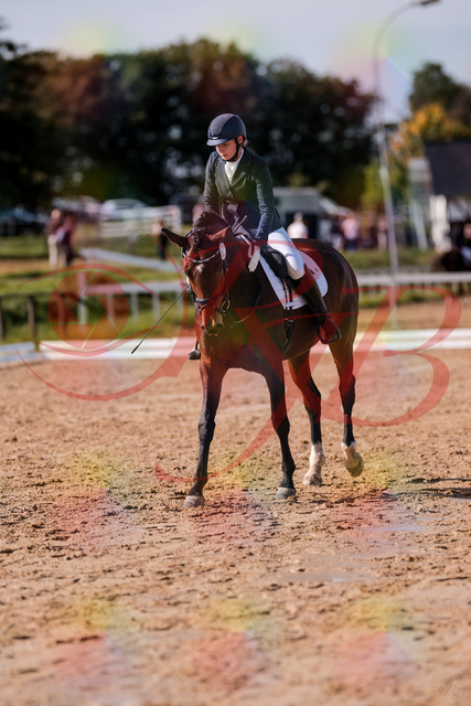2026_10_03_Siefer-Hof_125856_Z81_49757116 | Professionelle Reitsport-, Turnier- und Eventfotografie von Robert Broda. Galerien mit ausgewählten und bearbeiteten Bildern direkt online ansehen und bestellen.