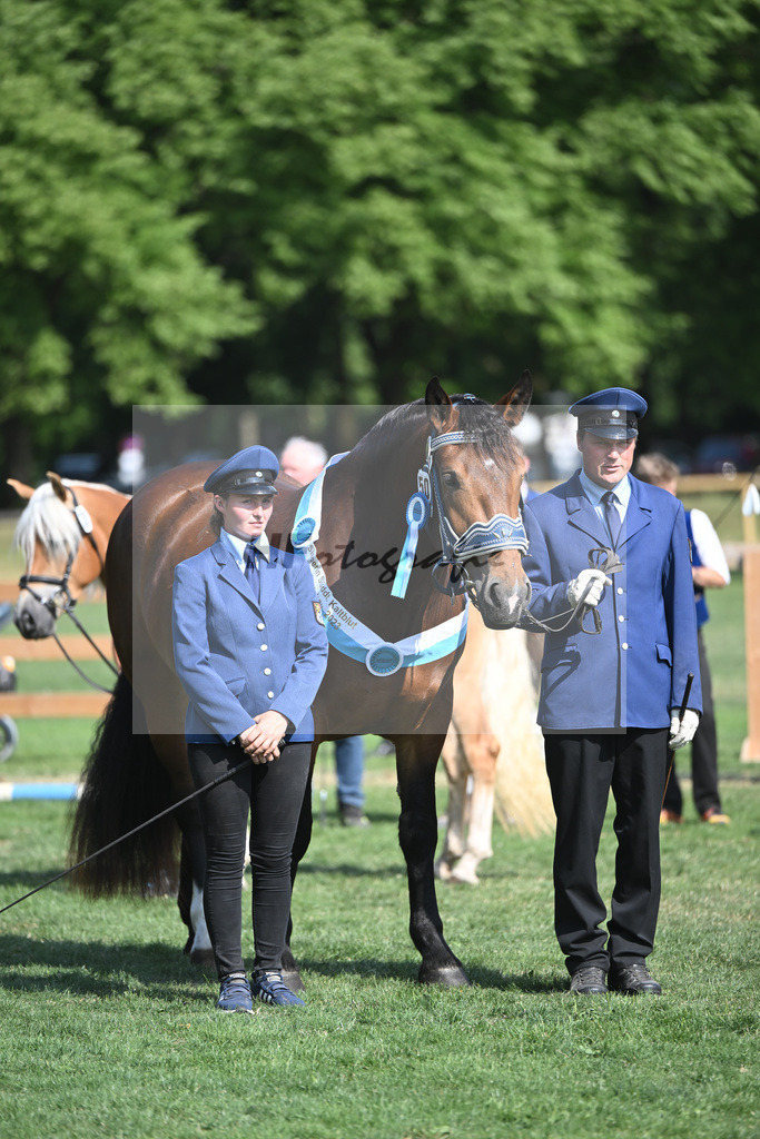 Kat-Nr. 50 Nockerl_HLG Schwaiganger_20231603 | hf-fotografie - Realisiert mit Pictrs.com