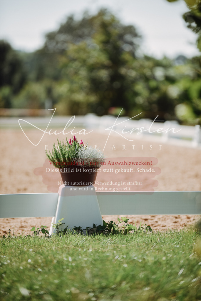 DSC_3387 | Pferde- und Turnierfotografie in Westsachsen. Pferdeportraits, Auftragszeichnungen und intuitive Kunst.