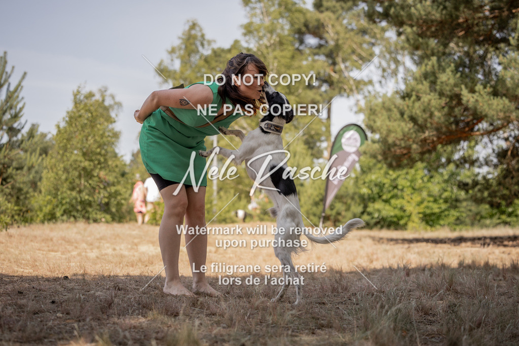 nelerasche_soDD2_444 | nelerasche