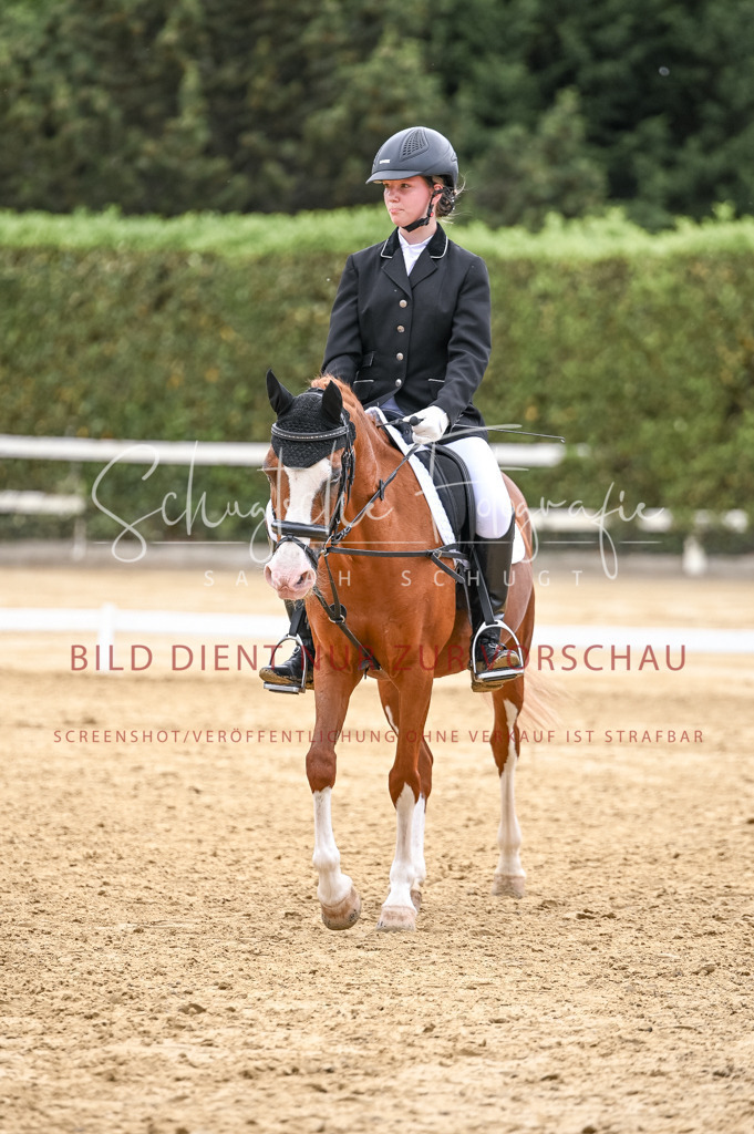 Schugtsche-Aluta25-44.DresssurreiterWB-47 | Schugtsche Fotografie - Realisiert mit Pictrs.com