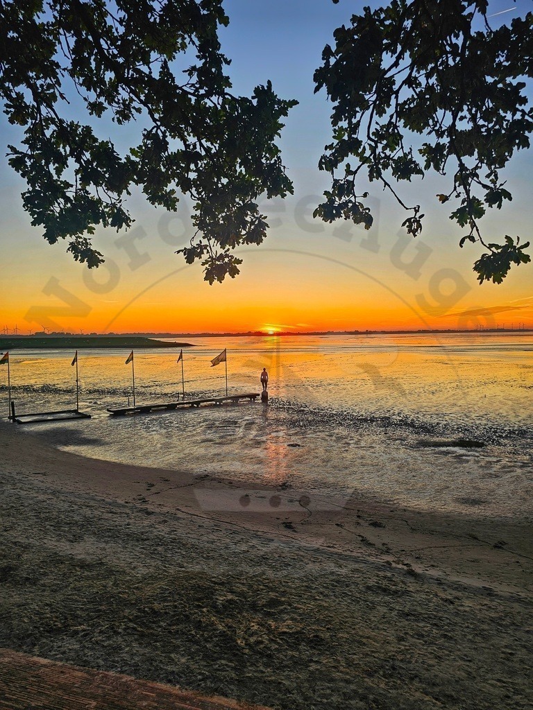 Nordsee Momente pur Nordseeküste Naturaufnahmen  | Nordsee in all ihrer Natürlichkeit  - Realisiert mit Pictrs.com