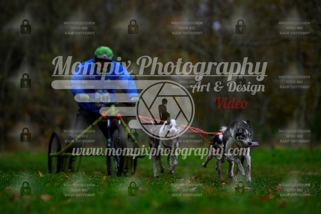MompixPhotography_Bischwiller24_SA_Kart-6 | PayLife