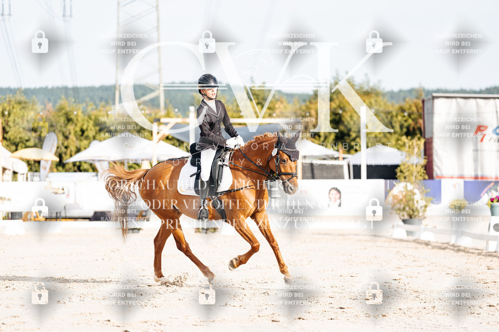 CK903817 | Turnierfotografie Pferdefotografie Trier Rheinland-Pfalz Pferdesport Reitsport Tierfotografie Sportfotografie Pferdevideo Pferdevideografie Equestrianvideography equestrianphotography  - Realisiert mit Pictrs.com