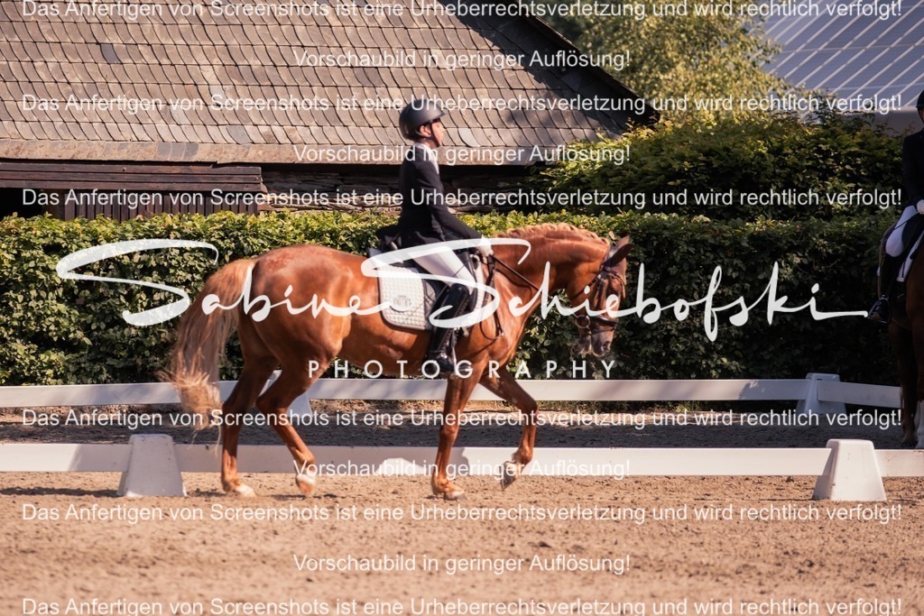 2025_05_31_DSCF2993 | People- und Tierfotografie, Imageaufnahmen, Veranstaltungsfotografie und Wandbilder aus der Natur ★ Made in Germany ✔️ Druck + Downloads ✔️ Naturfotografie in Top Qualität ★ schneller Versand, weltweite Lieferung! - Realisiert mit Pictrs.com