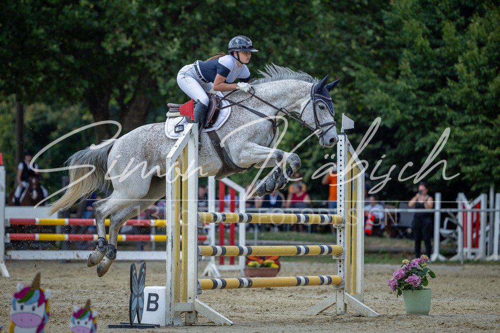 20260704-_3LI1504 | Tierfotografie Pferde, Hunde, Katzen, Haustiere.
Turnierfotografie Reitturniere, Reiten, Springreiten, Dressur in Hanau, dem Main-Kinzig-Kreis und dem Rhein-Main- Gebiet um Frankfurt
