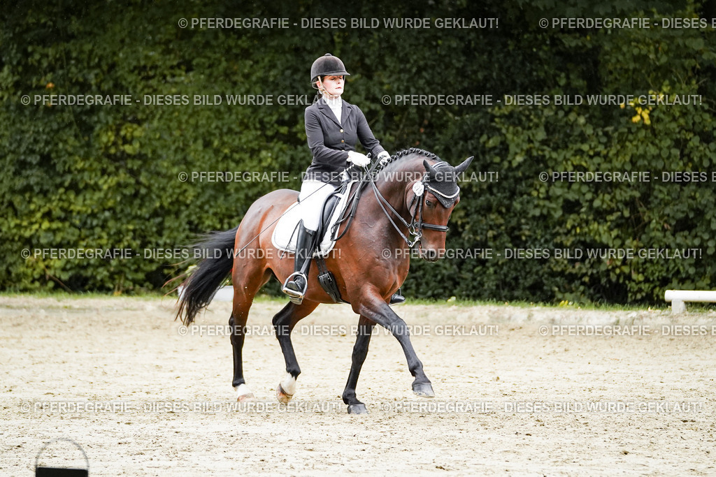 DSC00544 | Pferdegrafie