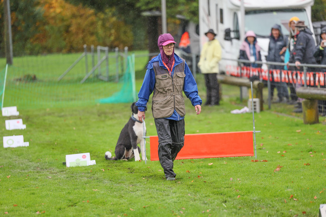 2025_Rally_Obedience_SM-100 | Ich fotografiere Hundeausstellungen, Sportanlässe, Zuchtstätten, Hundezucht, Hundeportrait, Lagotto - Realisiert mit Pictrs.com