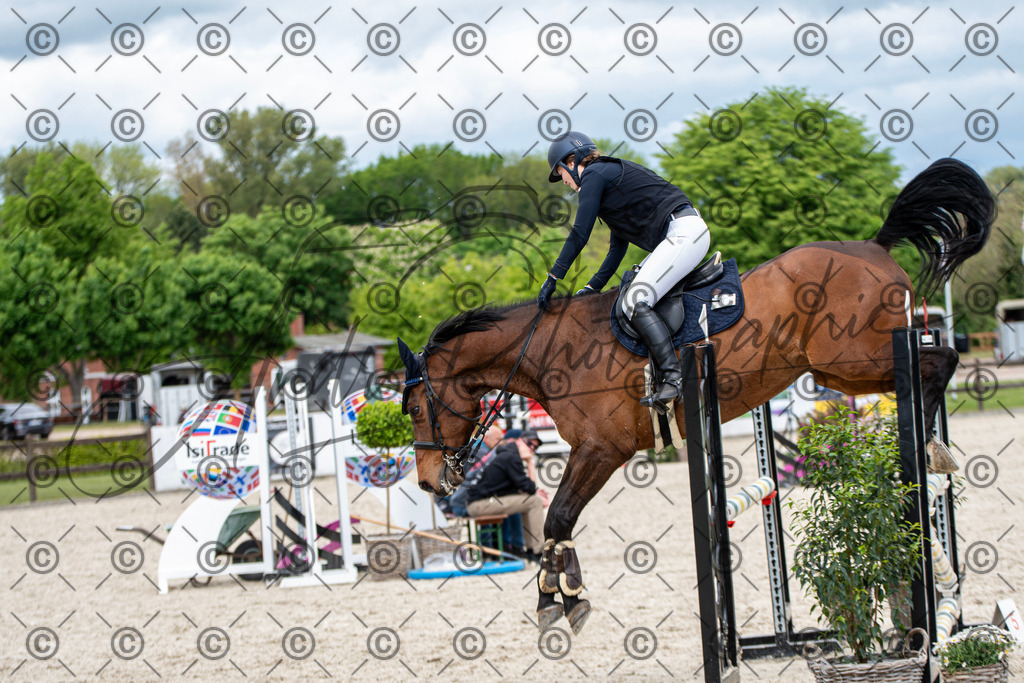 KPT_5686 | andre_photographic