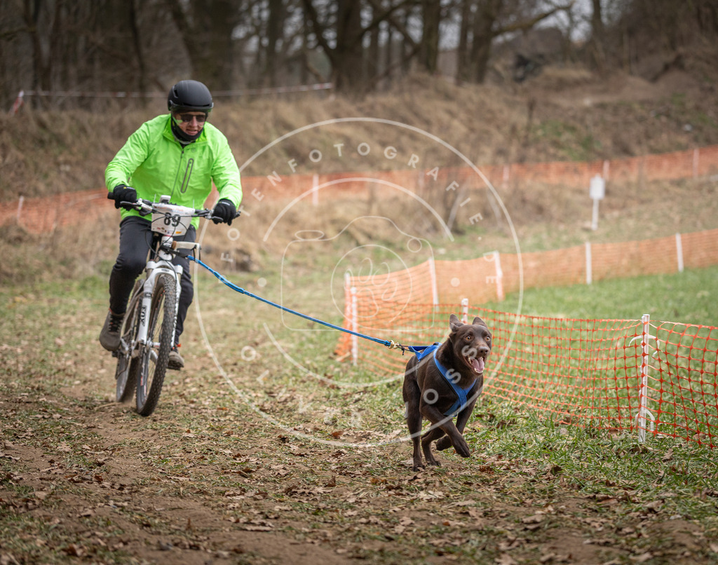 Pfotenfotografie_DV3A6300 | Hundefotografie, Tierfotograf, Pfotenfotografie, Fotoshooting Hund, Hunde Portrait, Hundesport, Hundeportraits, Heideshooting, Hunde, Sportfotograf, Hundefotograf, Turnierhundsport, THS,  - Realisiert mit Pictrs.com