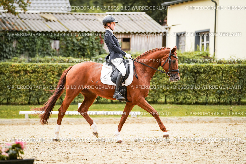 DSC07608 | Pferdegrafie